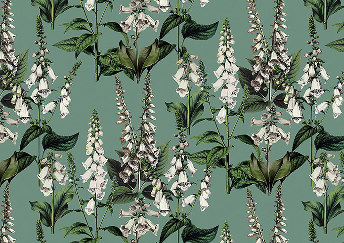 Foxcote, Daws - Roman Blind - Image 7